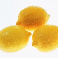 Дерево лимона можна вирощувати і з насіння, але садять їх відразу після того, як дістають з лимона, перші сходи можна помітити через 20 днів