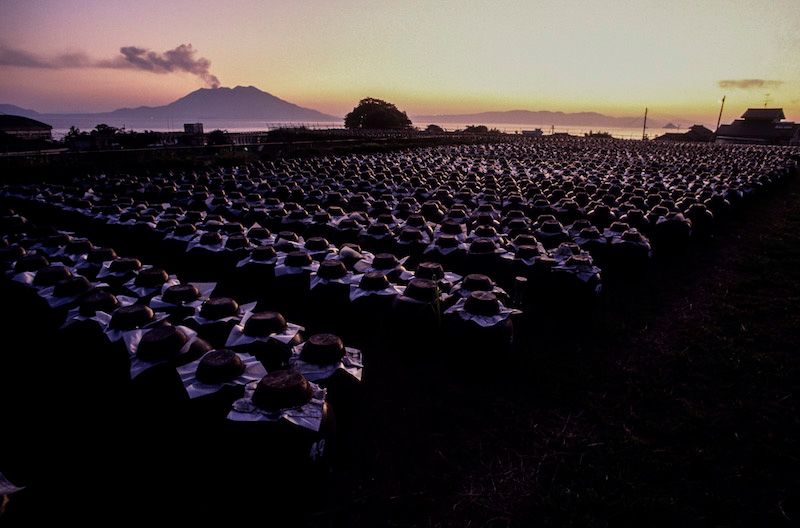 «Оцтове поле» знаходиться в теплому місці, звідки видно затоку Кагосіма і вулкан Сакурадзіма