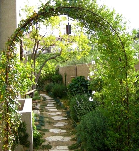 Одним з елементів ландшафтного дизайну саду є арка