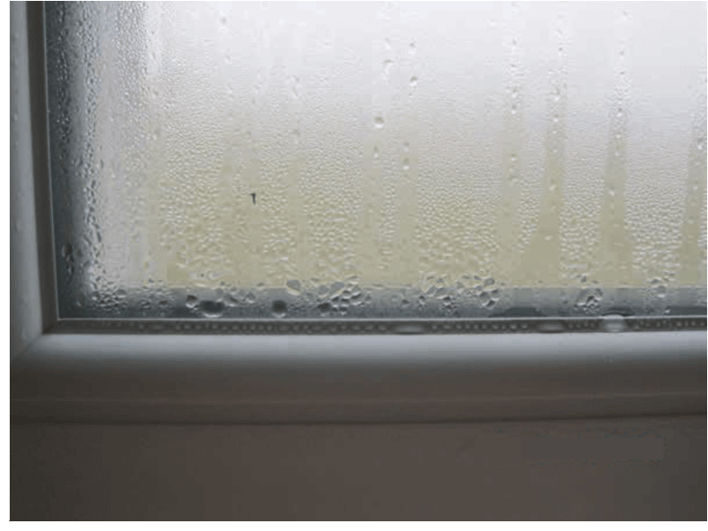 Конденсат і цвіль на пластикових вікнах: причини появи